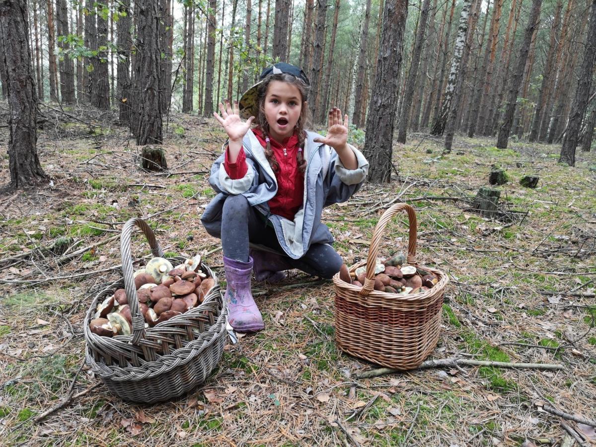 Agroturystyka Plener Miedzichowo Екстериор снимка